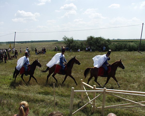 Szõreg 2002