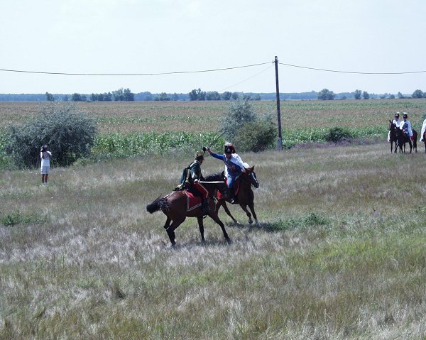 Szõreg 2002